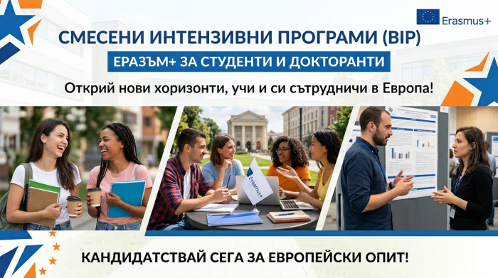 Смесени интензивни програми